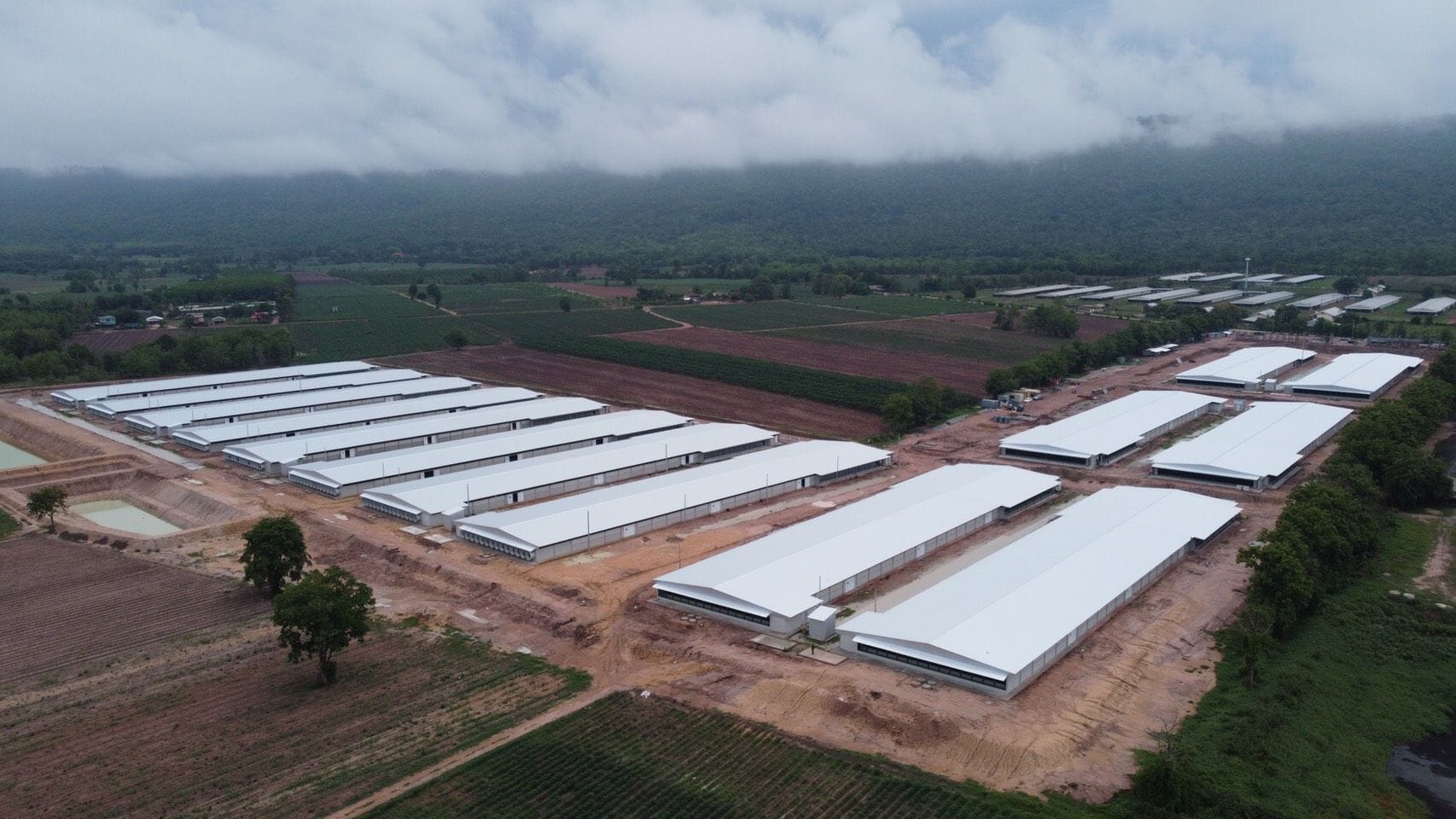 โรงเรือนเลี้ยงไก่เนื้อ  พีพี ฟาร์ม